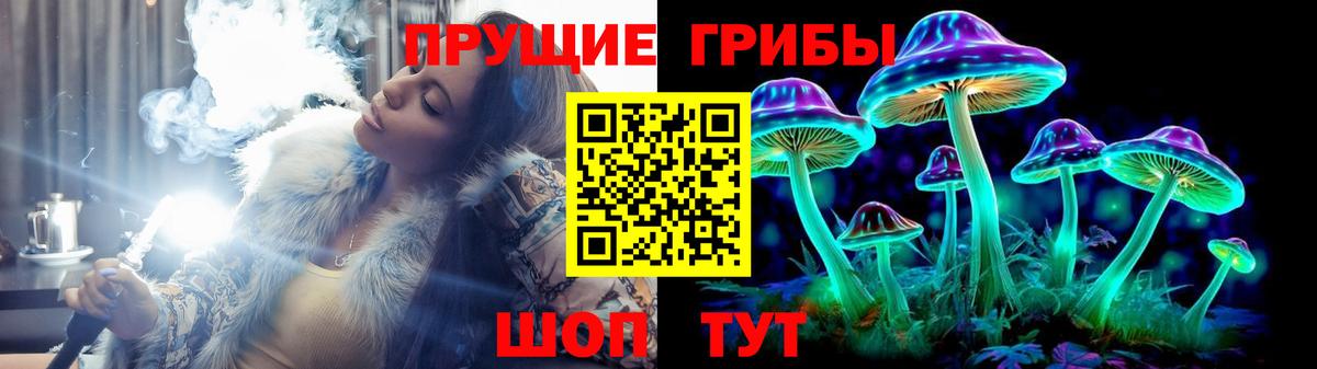 Галлюциногенные грибы ЛСД  Галлюциногенные грибы мухоморы  Вход с VPN  наркошоп  Нальчик 